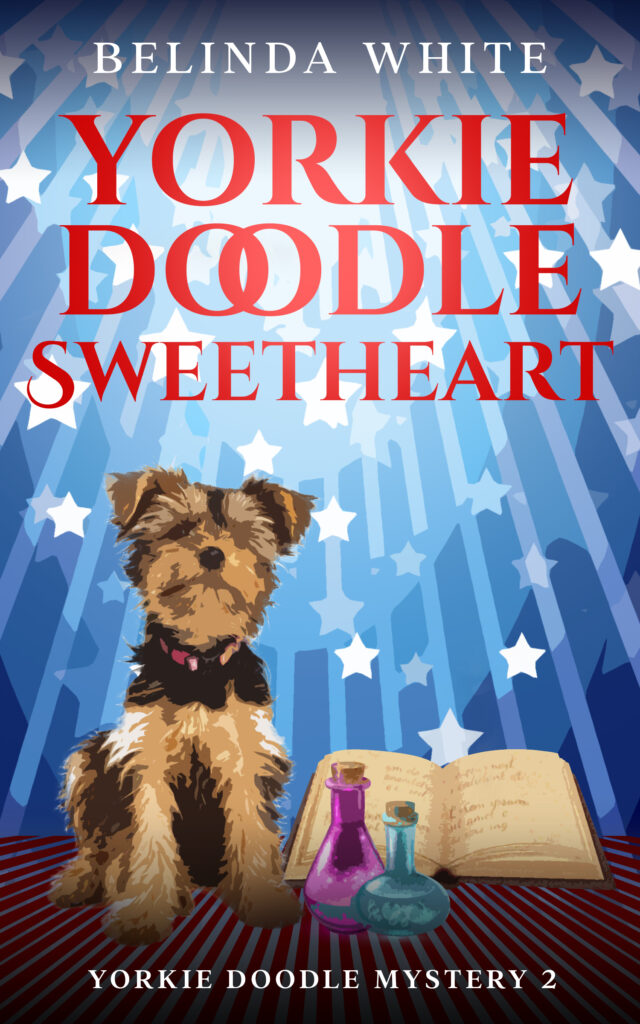 Book Cover: Yorkie Doodle Sweetheart